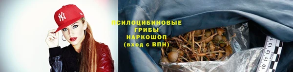 тгк Мегион