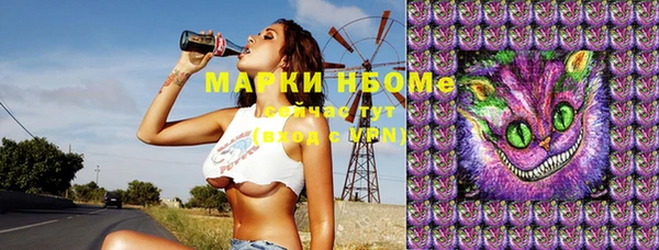 амф Магас