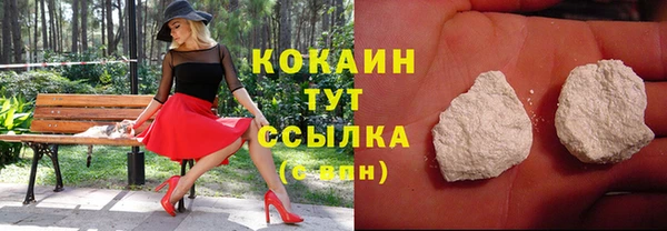 амф Магас