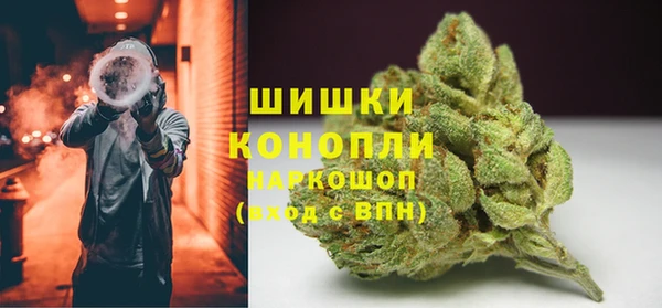 тгк Мегион