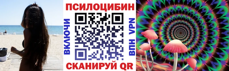 Галлюциногенные грибы Psilocybine cubensis  Купить где  Шали 